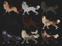 adopts (closed)
