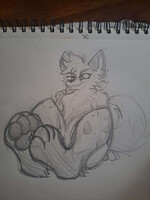 Ceri's Lil' Pawpet