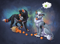 Y Ball Taste Funni?