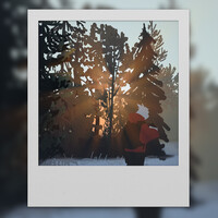 Sun Rays (Polaroid)