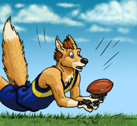 Footy Dingo 