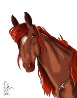 Strike a pose ( Rondi bust com)