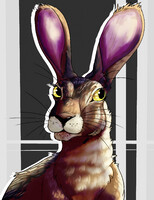 Hare