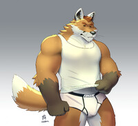 🦊