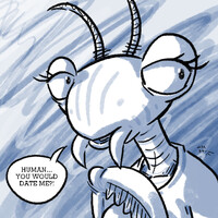 Mandy Mantis