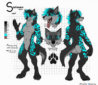 Soronan reference sheet