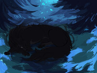 ` Mystery night `