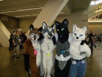 Kenova and the Gang