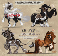 mlp adopts! (2, 3 and 4 open)