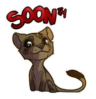 !We're coming back!