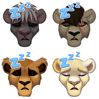 Everyone is asleep...