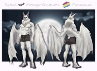 Rafael o Morcego Fantasma