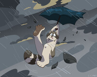rain raccoon