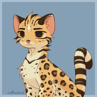 Leopardstar