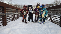 It's Cold but at Least I'm With Friends