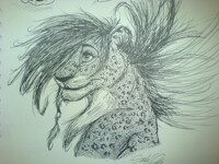 Doodle