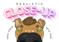 Realistich Close-up | YCH