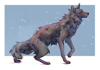 Wolf