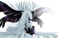 Until we meet again 7\10