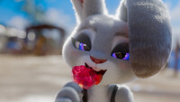 Pawpsicle for Hopps 1/2