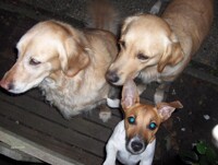 My three pricesses!