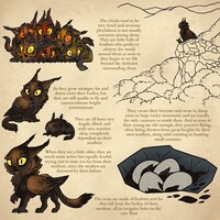 The Ebony Gryphon - My Species Sheet_5