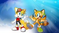 Inverse Sonic Style 3: Tails and Marine