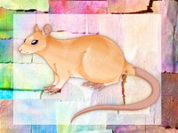 Homemade DnD NPC Pataday the Rat King
