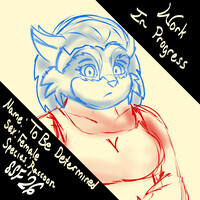 New Raccoon (WIP)