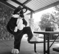 Self portrait with a Rollei