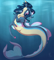 Hippocampus Sepi