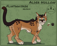 Flintwhisker character sheet