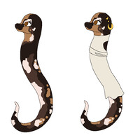 Callie Reference Sheet