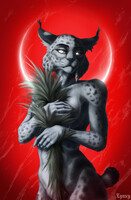 Lynx Nightwraith 3.0