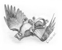 A kind traditional drawing with a gryph