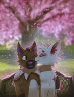 Valentine's Cherry Blossoms