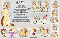 COOKIE – Referencia 2026