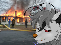 Disaster Girl: ceruleanwalker