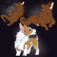 Whirligig Commission -  Bundle 2