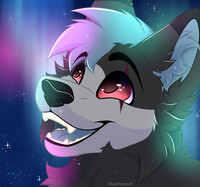 🌌✨ Finished Northern Lights YCHs!