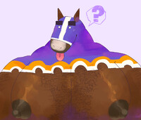 confused horse tits