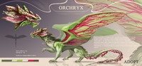 Dragon Orchryx — Adoptable [Closed]
