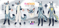 Texis Reference Sheet