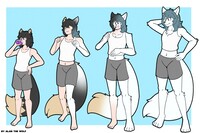 TF Commi for n_inuinu