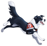 Socke doin' what she do best