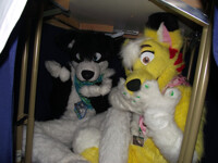 Oh gawd you found us!!!