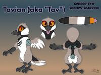Tavian - Reference sheet