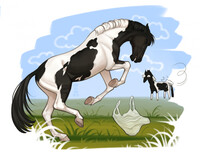 Fighting a plastic bag