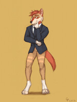 Dapper Dog
