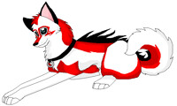 ReyJak Husky